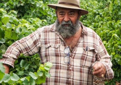 Juan Alonso in Le Chene's Vineyard
